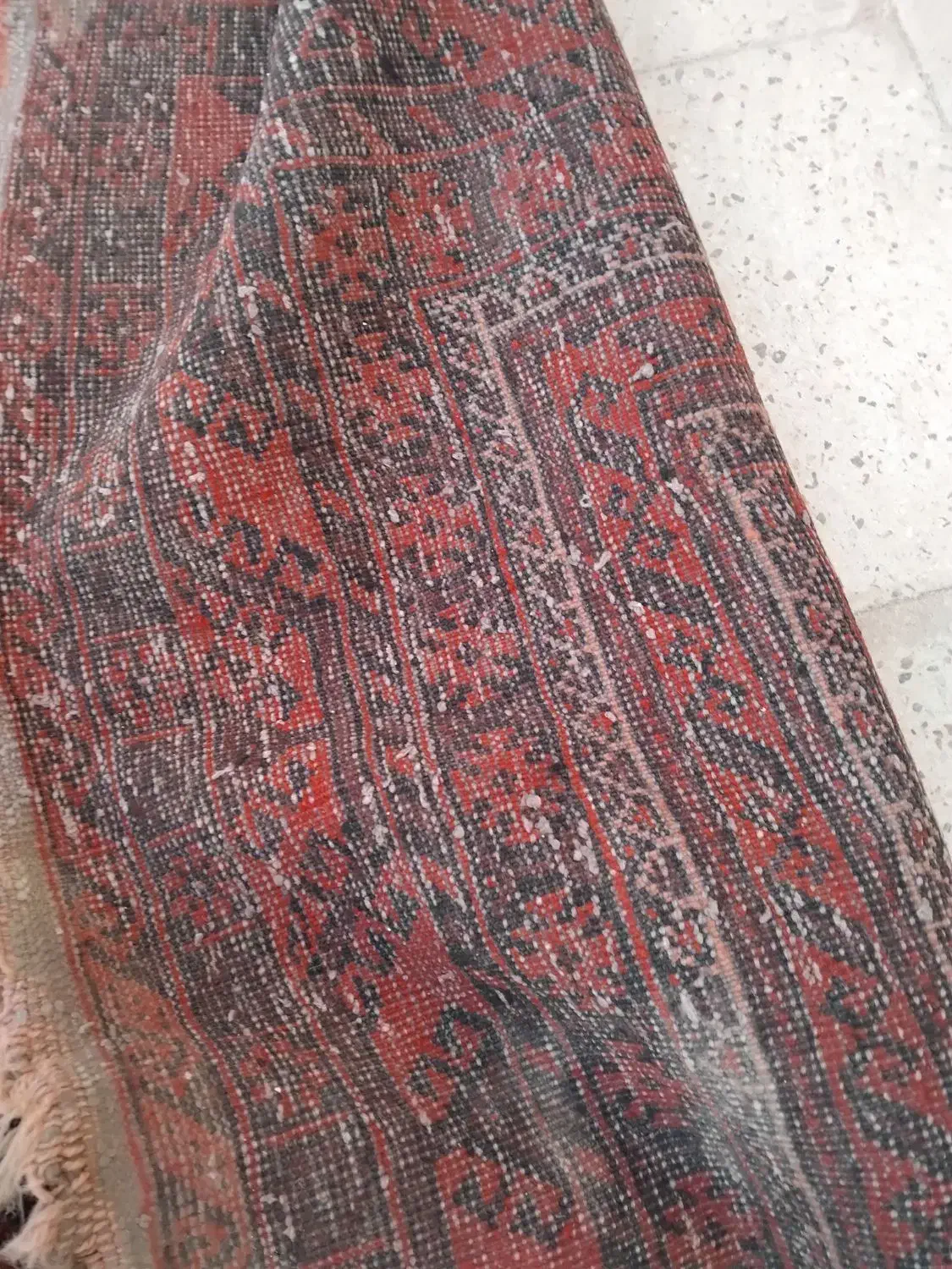 فرش دستباف|فرش|مشهد, نوده|دیوار