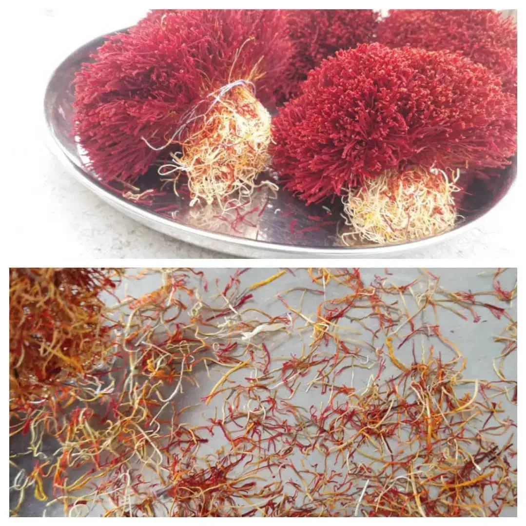 نرمه زعفران|خوردنی و آشامیدنی|قزوین, |دیوار