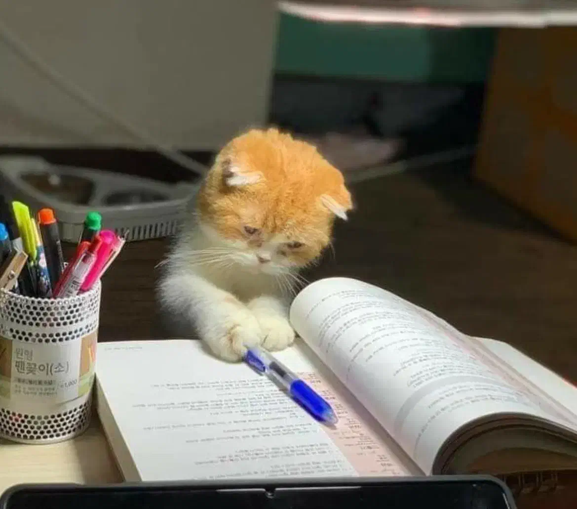 معلم خصوصی|خدمات آموزشی|تهران, فاطمی|دیوار