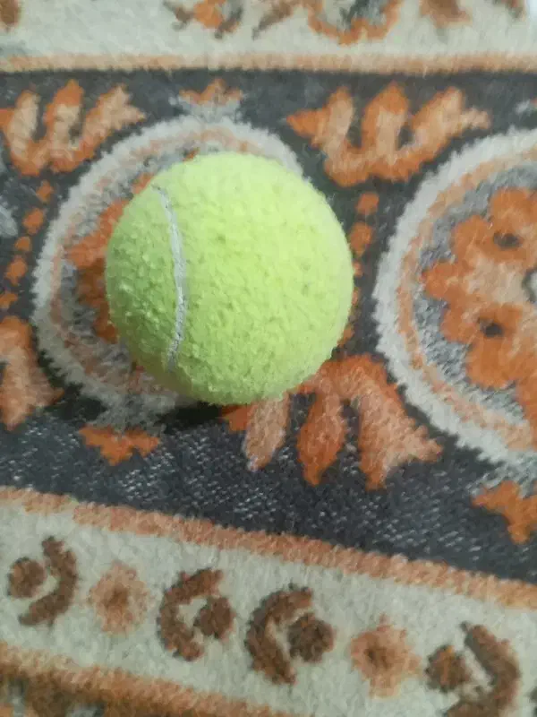 توپ تنیس|ورزشهای توپی|بروجرد, |دیوار