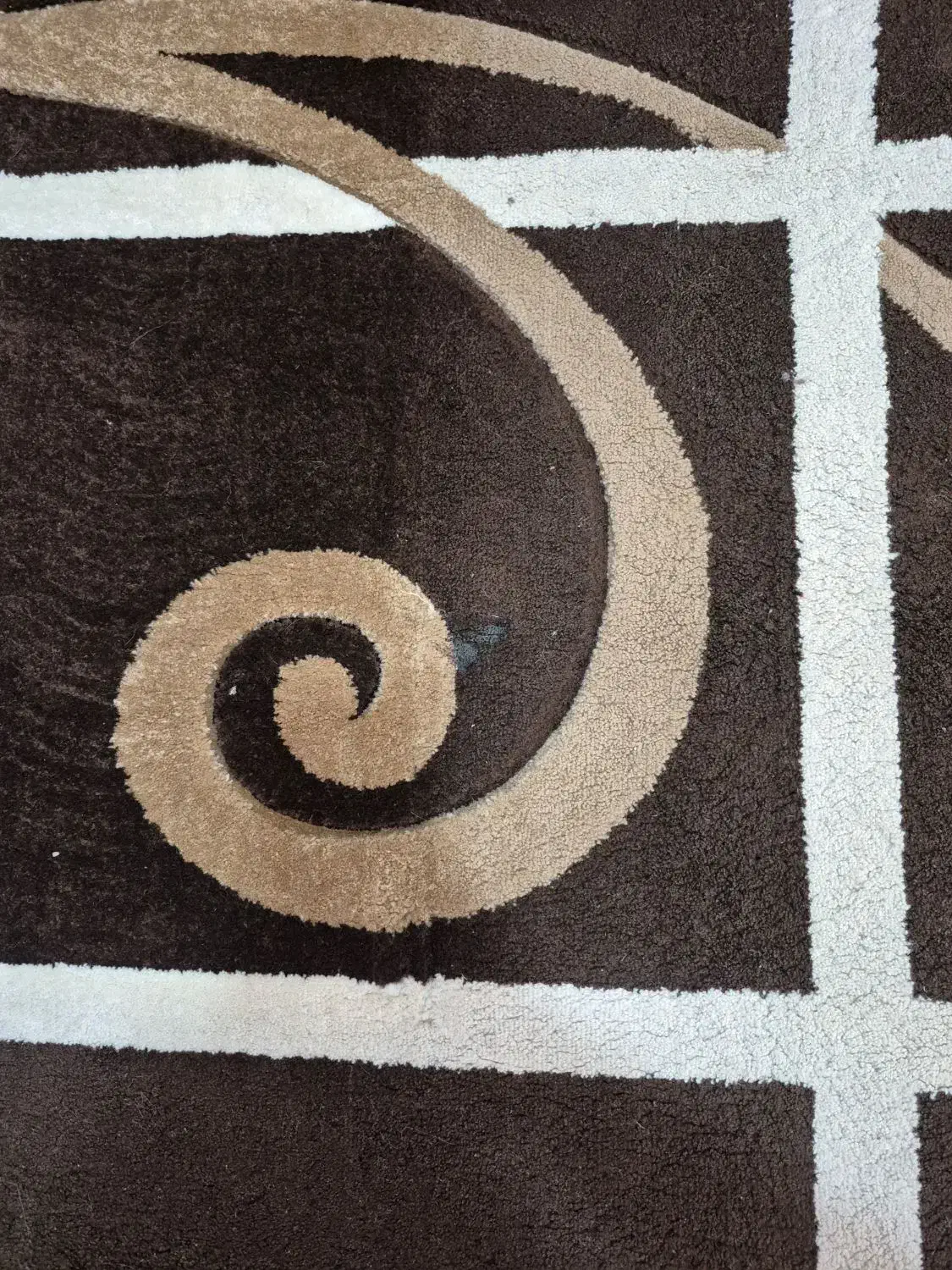 گلیم فرش ۶ متری|گلیم، جاجیم، گبه|بندرعباس, |دیوار