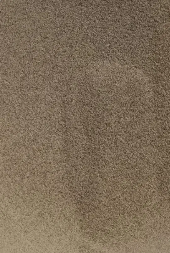 بذر کشاورزی|گل و گیاه طبیعی|کوهدشت, |دیوار