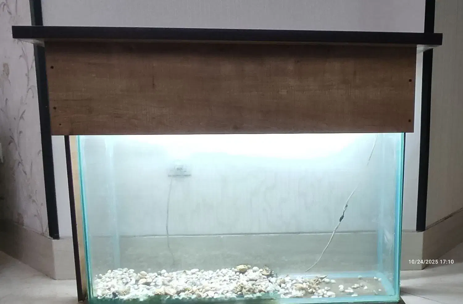 آکواریوم|ماهی|شیراز, پودنک|دیوار