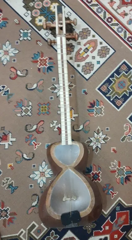تار|سازهای سنتی|بروجرد, |دیوار