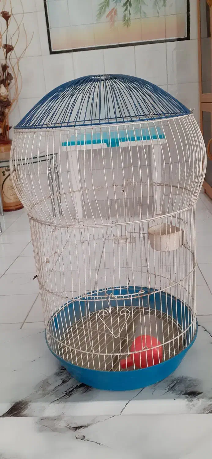 قفس|لوازم جانبی حیوانات|شیراز, پودنک|دیوار