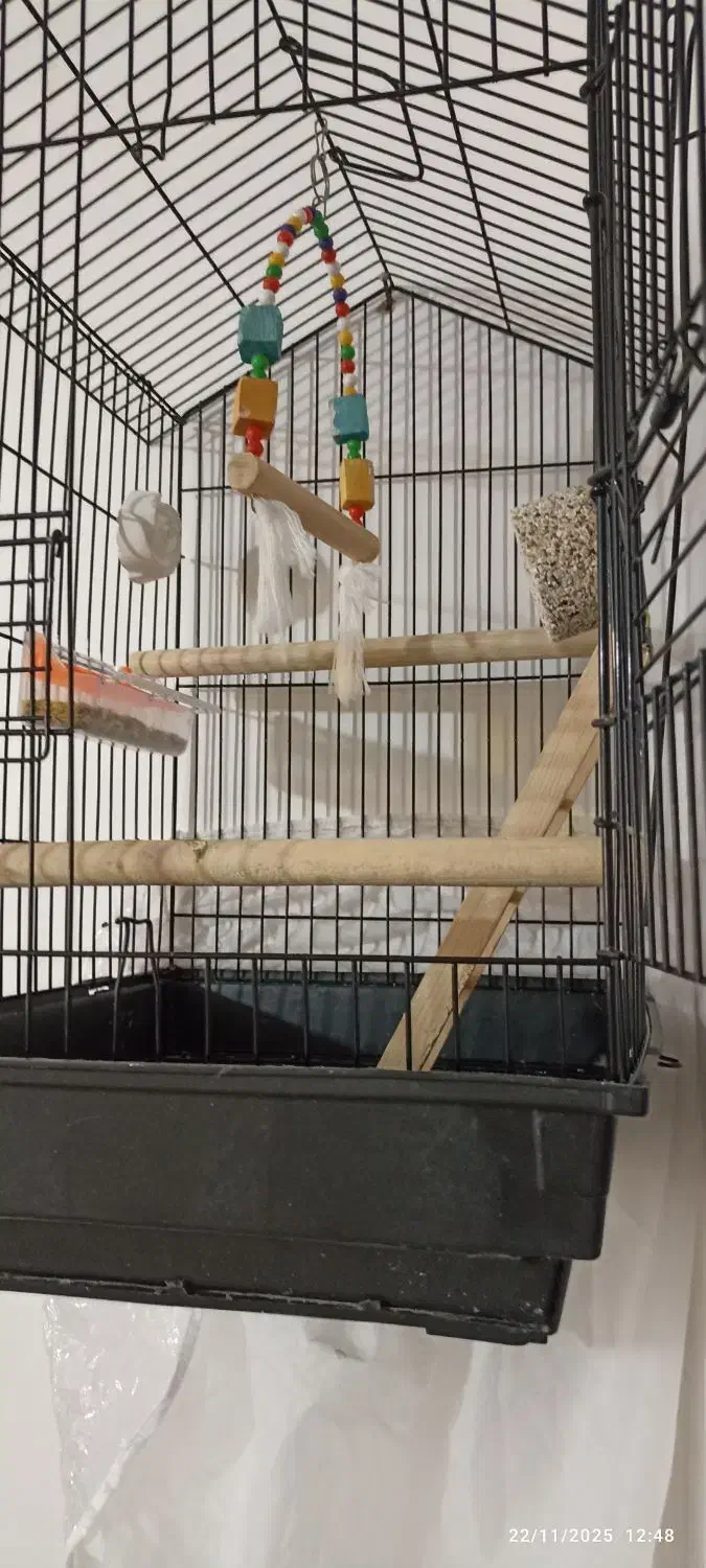 قفس با تمام وسایلش|لوازم جانبی حیوانات|سبزوار, فیاض|دیوار