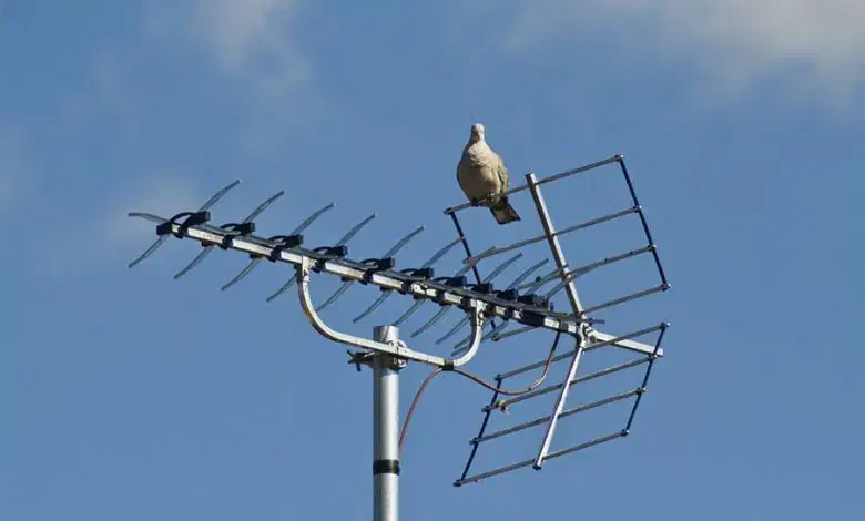 فروش و نصب آنتن وگیرنده|صوتی و تصویری|رشت, بازار|دیوار