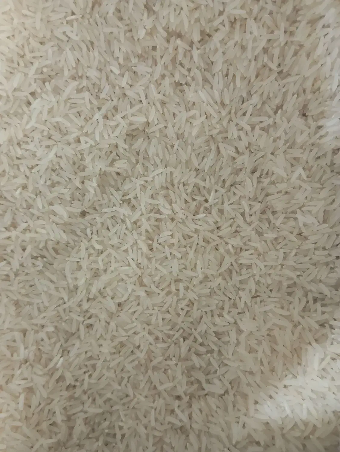 برنج فجر سوزنی|خوردنی و آشامیدنی|گنبد کاووس, |دیوار