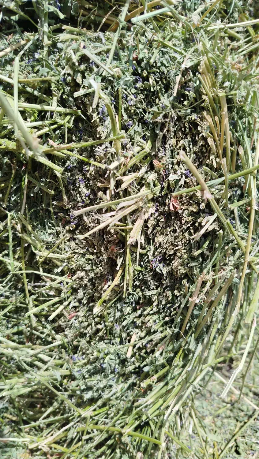 پرس یونجه|لوازم جانبی حیوانات|شیروان (خراسان), |دیوار