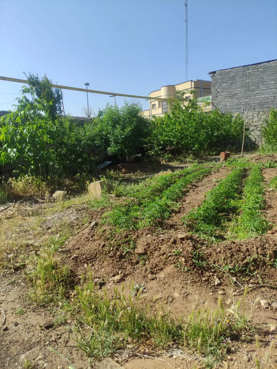 فروش تجاری مسکونی|فروش دفتر صنعتی، کشاورزی، تجاری|نوبران, |دیوار