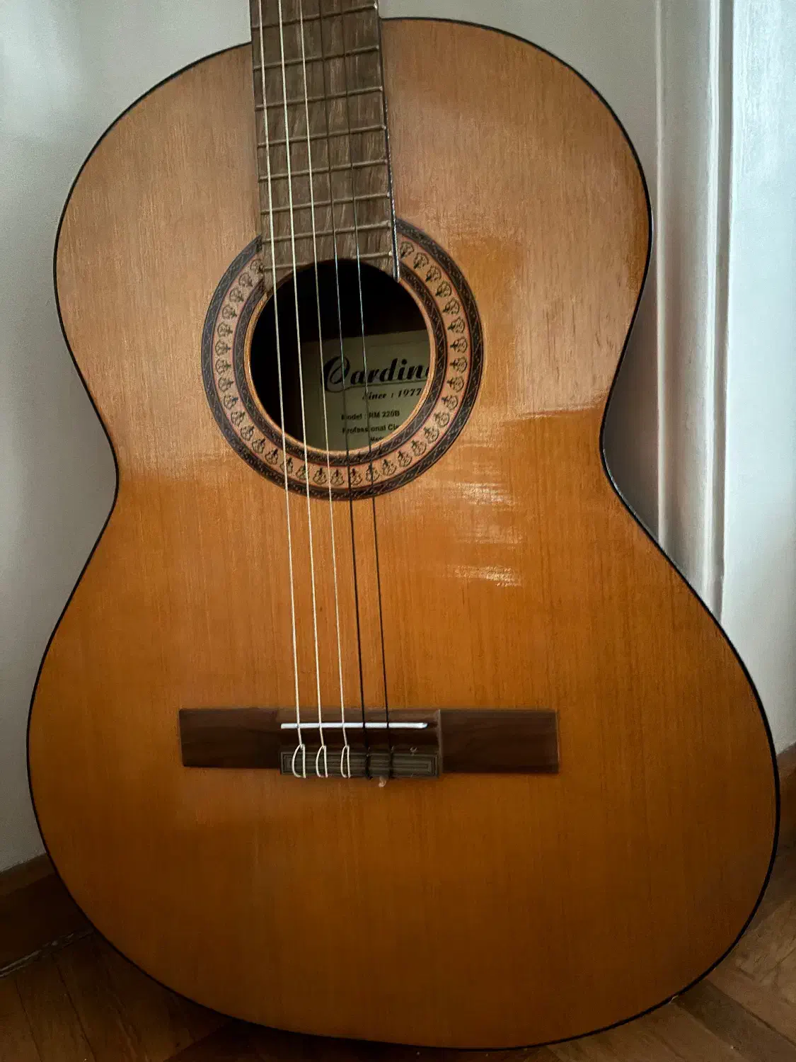 گیتار|گیتار، بیس، امپلیفایر|تهران, میرداماد|دیوار