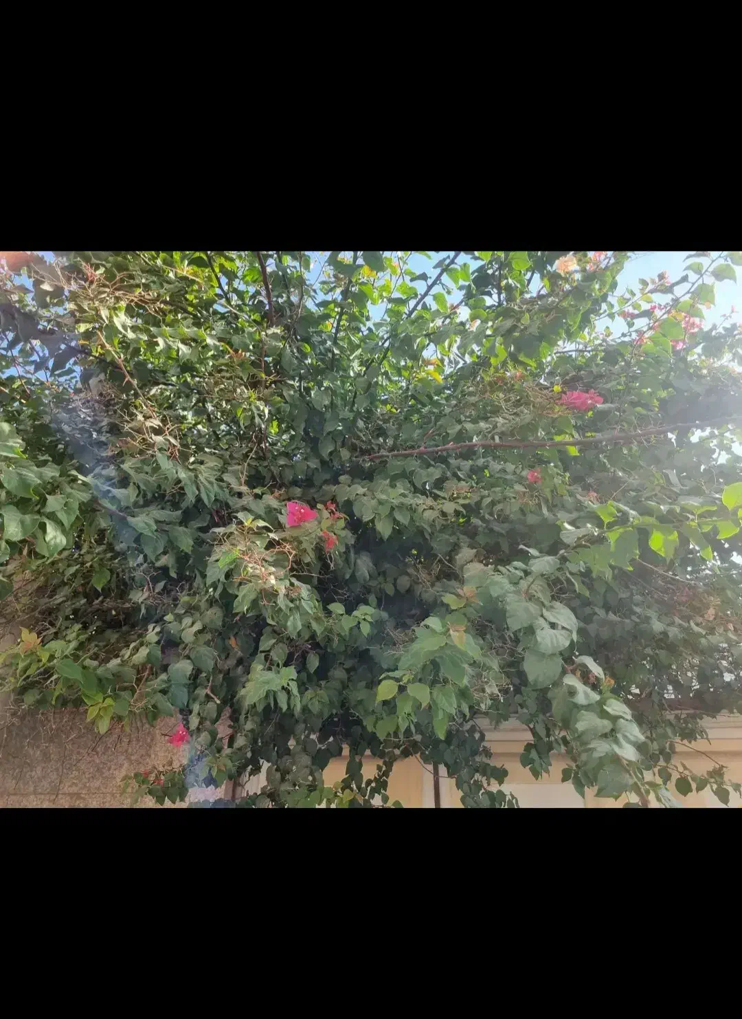 باغ روستای گیو|فروش زمین و ملک کلنگی|خلجستان, |دیوار