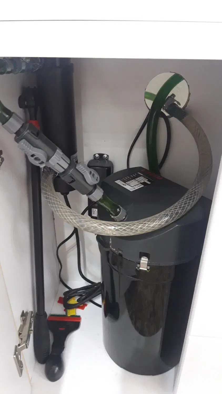 آکواریوم دلسا|ماهی|یزد, |دیوار