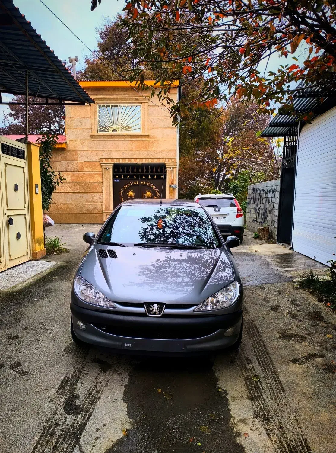 پژو ۲۰۶ مدل ۸۶ تیپ ۳|خودرو سواری و وانت|آمل, |دیوار