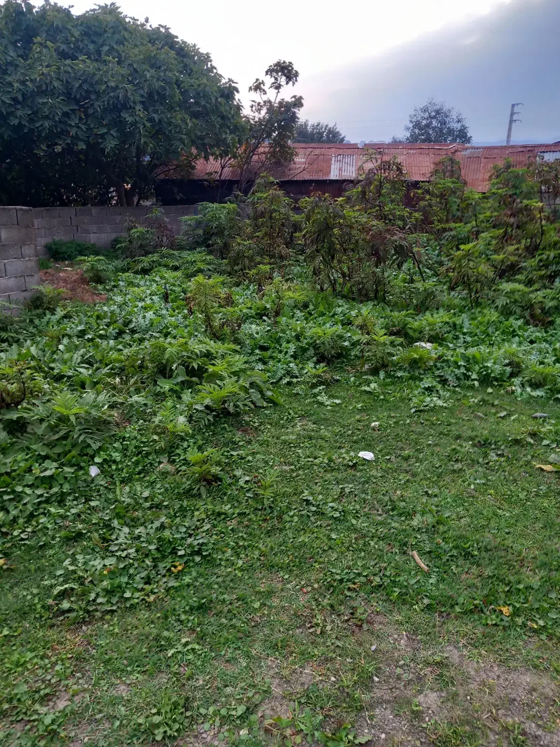 زمین در روستا|فروش زمین و ملک کلنگی|زیرآب, |دیوار