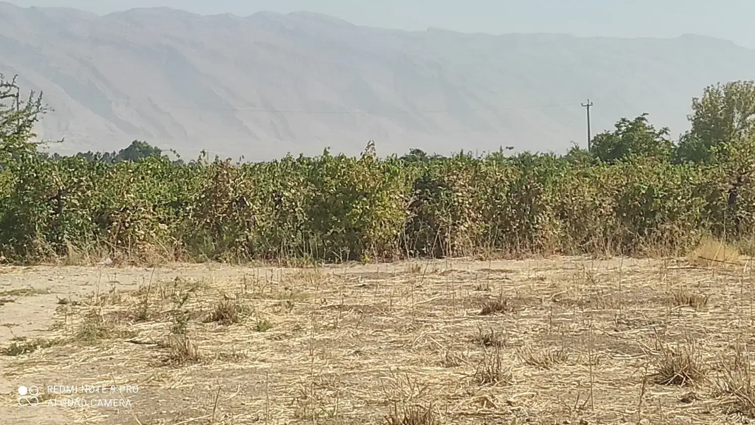 سلام زمین درشهرستان کوار جاده محموداباد|فروش زمین و ملک کلنگی|طسوج, |دیوار