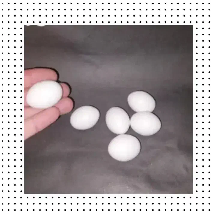 تخم کبوتر|خوردنی و آشامیدنی|بم, |دیوار