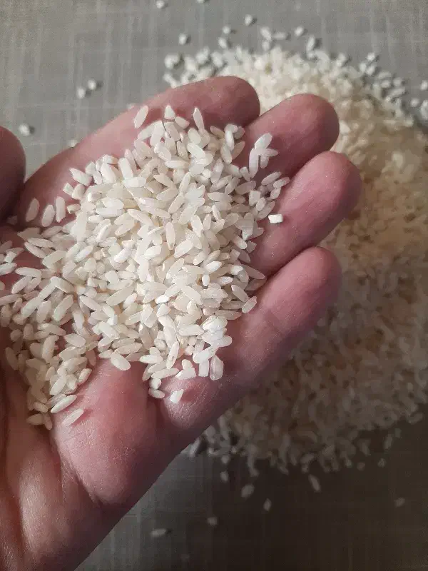 برنج چمپا|خوردنی و آشامیدنی|فولادشهر, مسکن مهر فولادشهر|دیوار