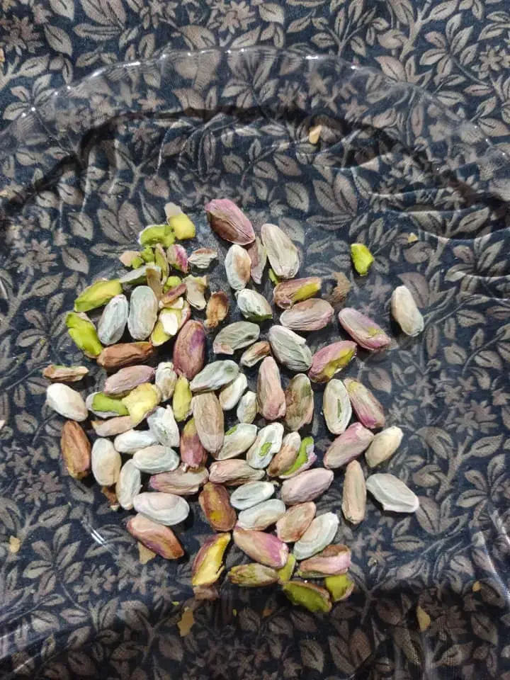 مغز کال|عمده‌فروشی|مشهد, آزادشهر|دیوار