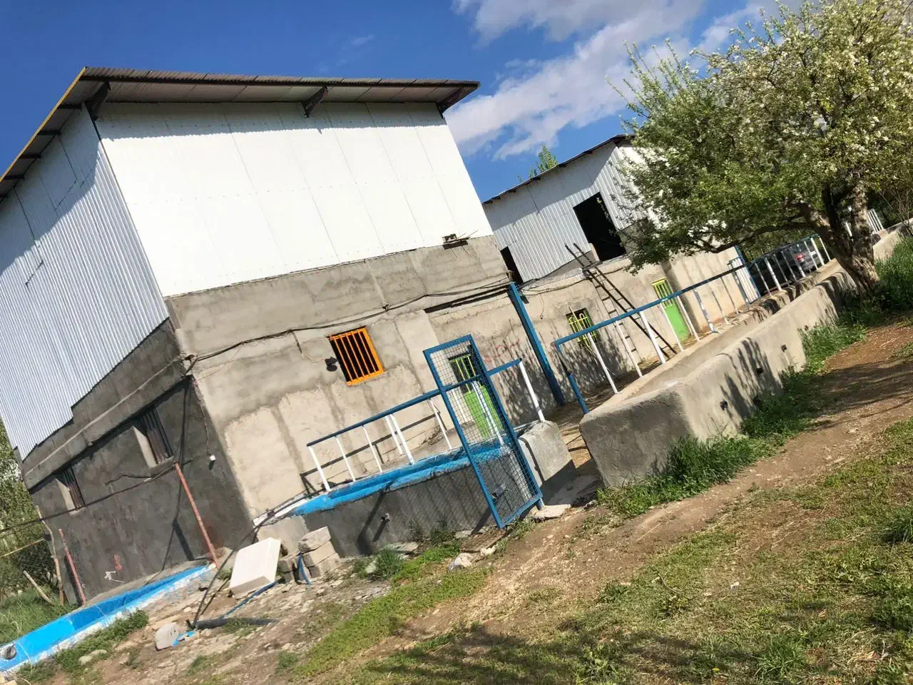 فروش گاوداری /۵/۶۰۰متر/سند تک برگ|فروش دفتر صنعتی، کشاورزی، تجاری|تیکمه داش, |دیوار