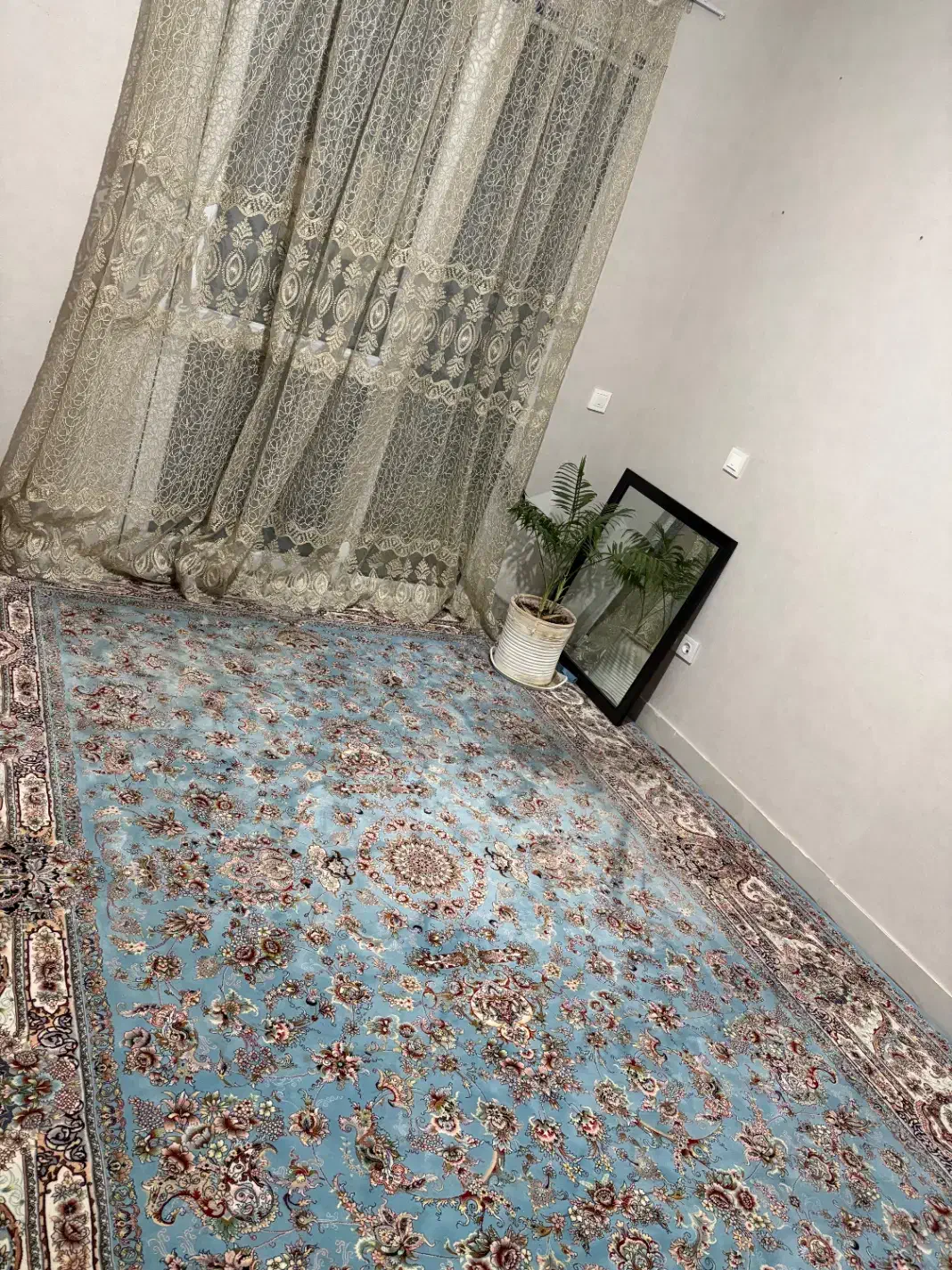 یلدای کویر|فرش|گرگان, |دیوار