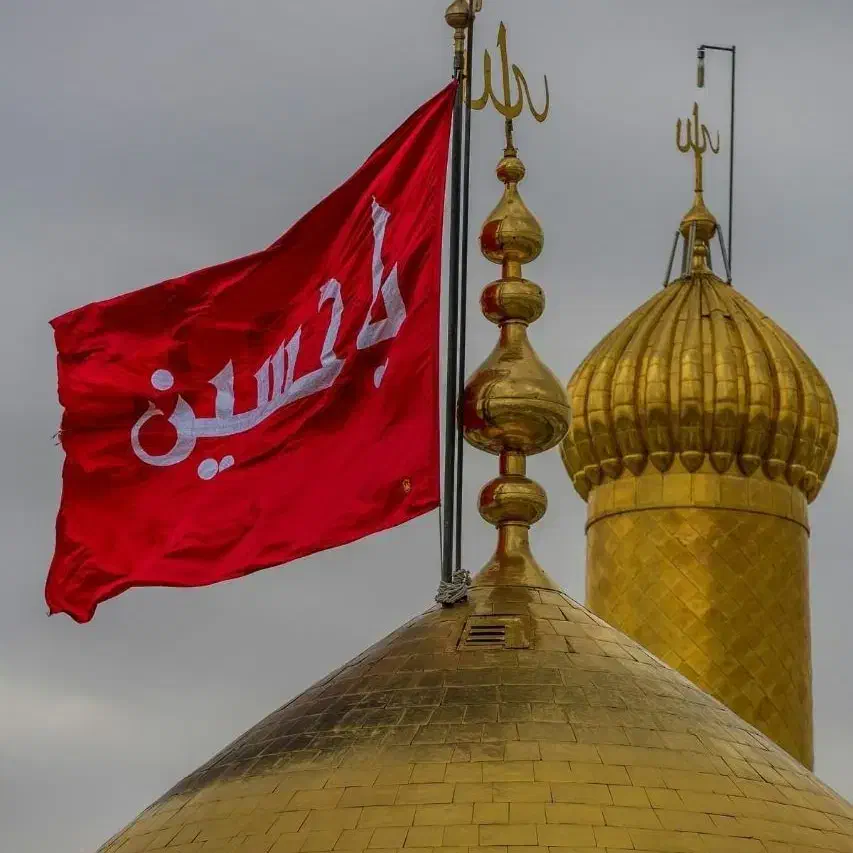 کارت سوخت پیکان پیدا کردم|اشیا|نیشابور, بلوار گلها|دیوار