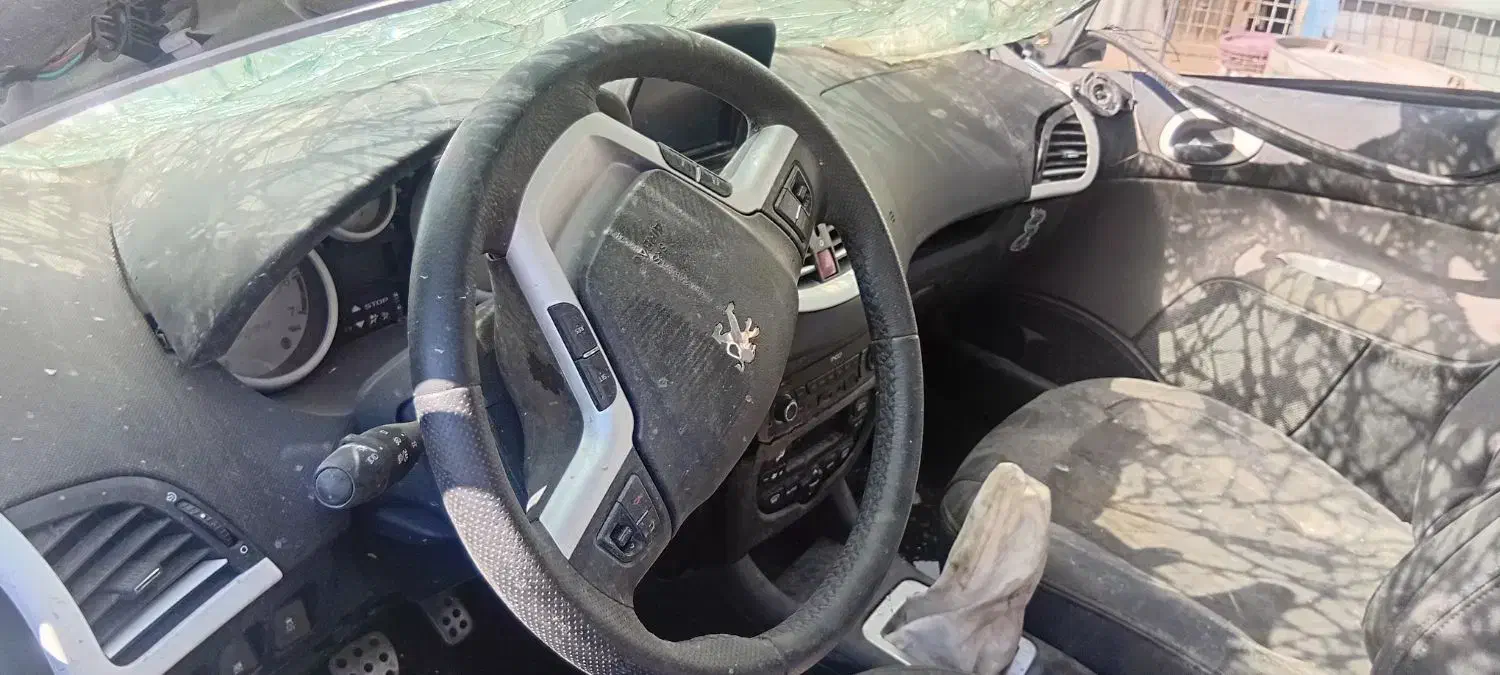 ۲۰۷ پانا تصادفی مدل ۱۴۰۴|خودرو سواری و وانت|اصفهان, بابوکان جنوبی|دیوار