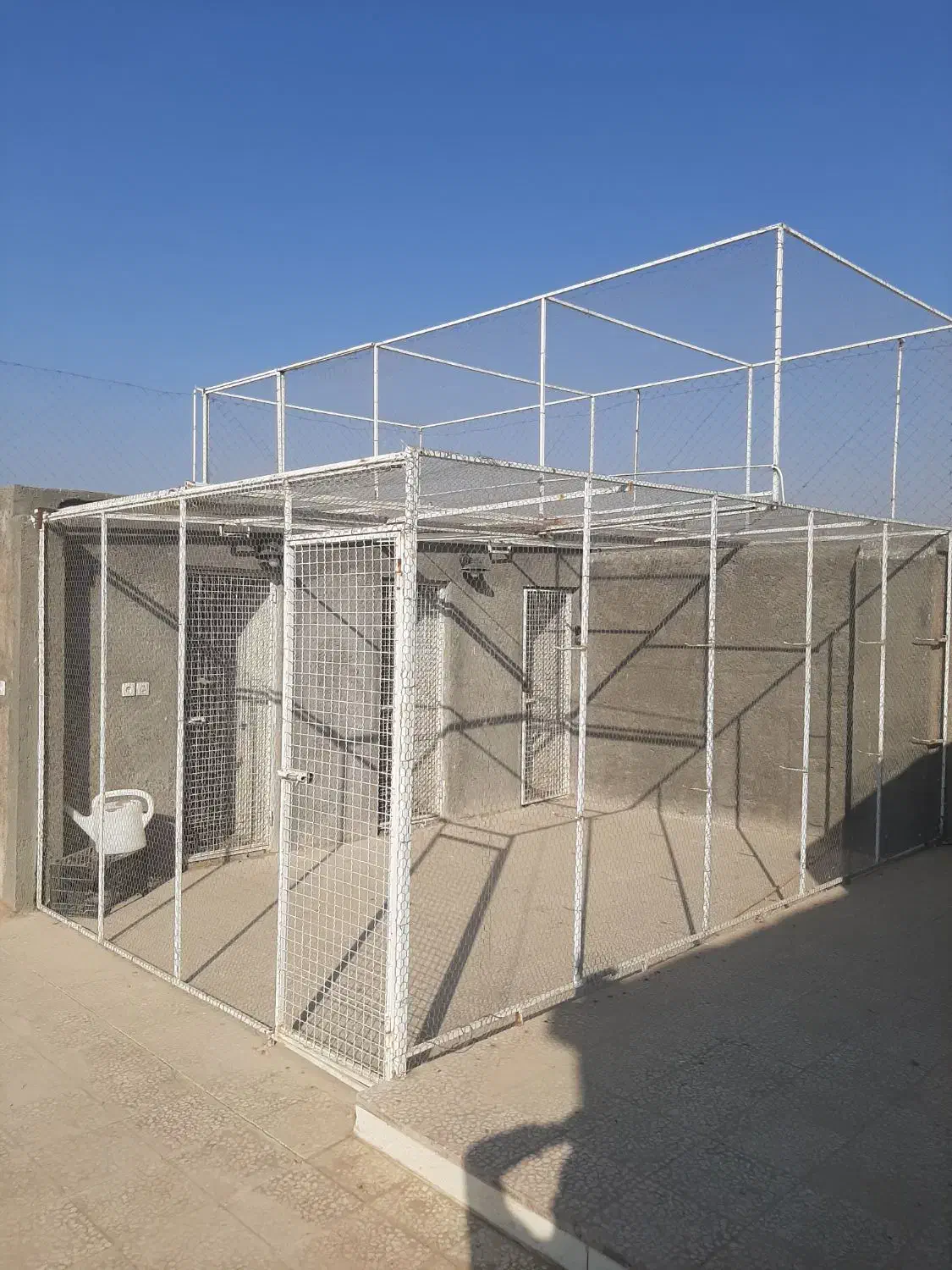 توربند،عشقبازی|لوازم جانبی حیوانات|آران و بیدگل, |دیوار