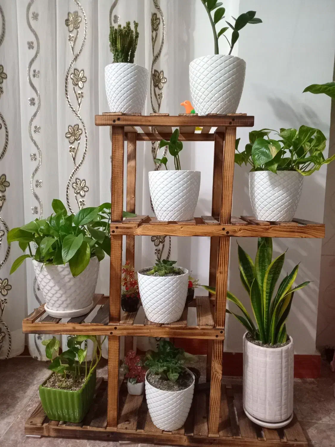 استند گل سالم تمیز|کتابخانه، شلف، قفسههای دیواری|لاهیجان, لاشیدان|دیوار