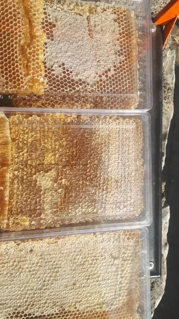 عسل طبیعی کوهستان|خوردنی و آشامیدنی|نمشیر, |دیوار