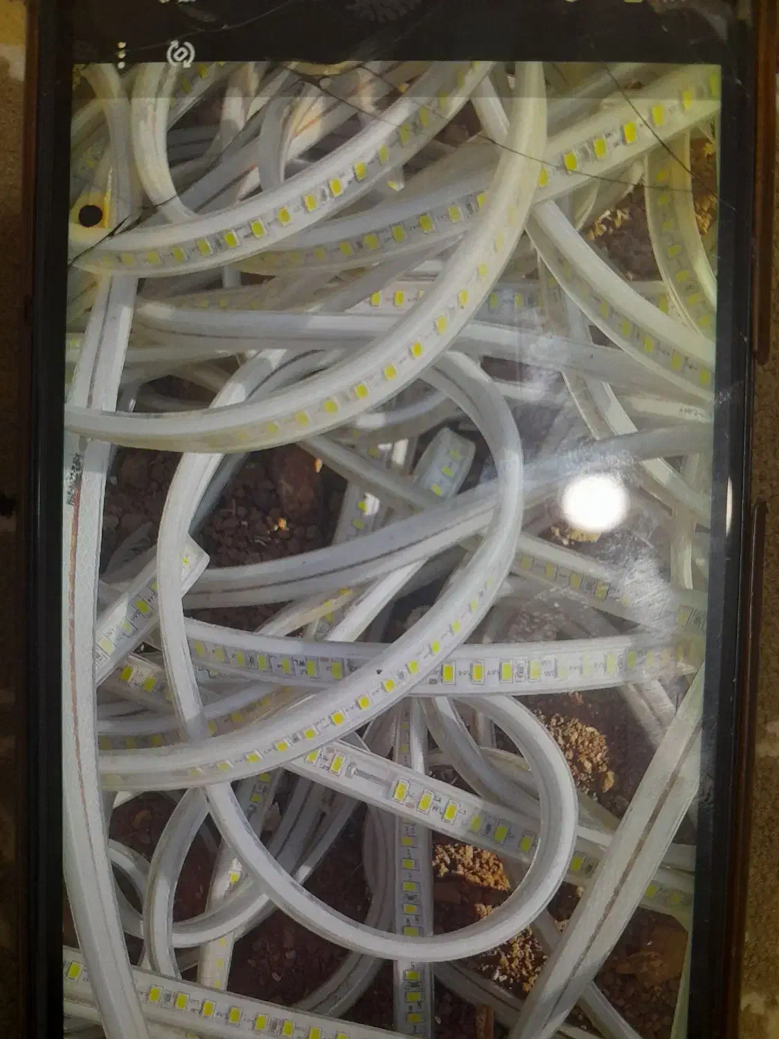 سیم الیدی برای باغ و ویلا 50 متری|لامپ و چراغ|محمدشهر, ولدآباد|دیوار