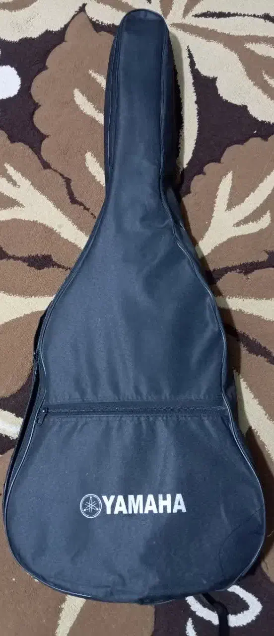 گیتار نو|گیتار، بیس، امپلیفایر|ایرانشهر, |دیوار