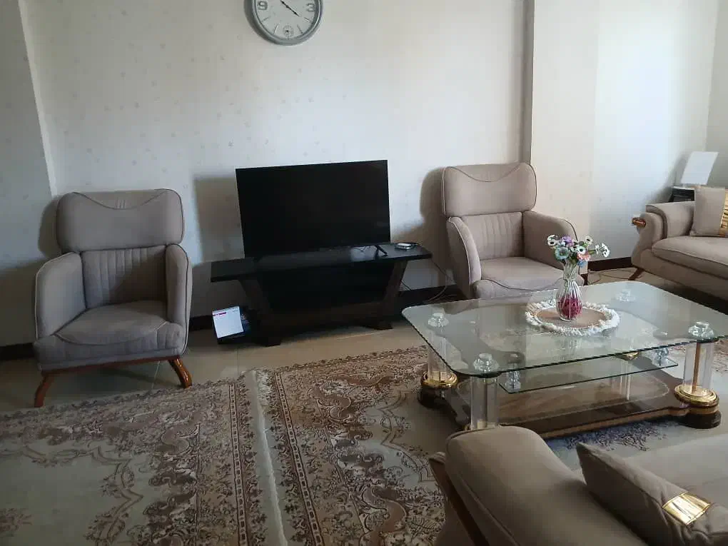 تلویزیون اسنوا|تلویزیون و پروژکتور|مهاجران, |دیوار