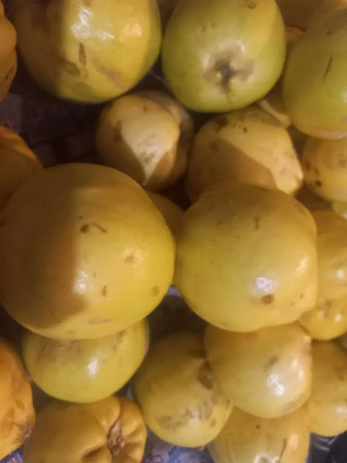 به شیرین و خوش عطر|خوردنی و آشامیدنی|گلپایگان, |دیوار