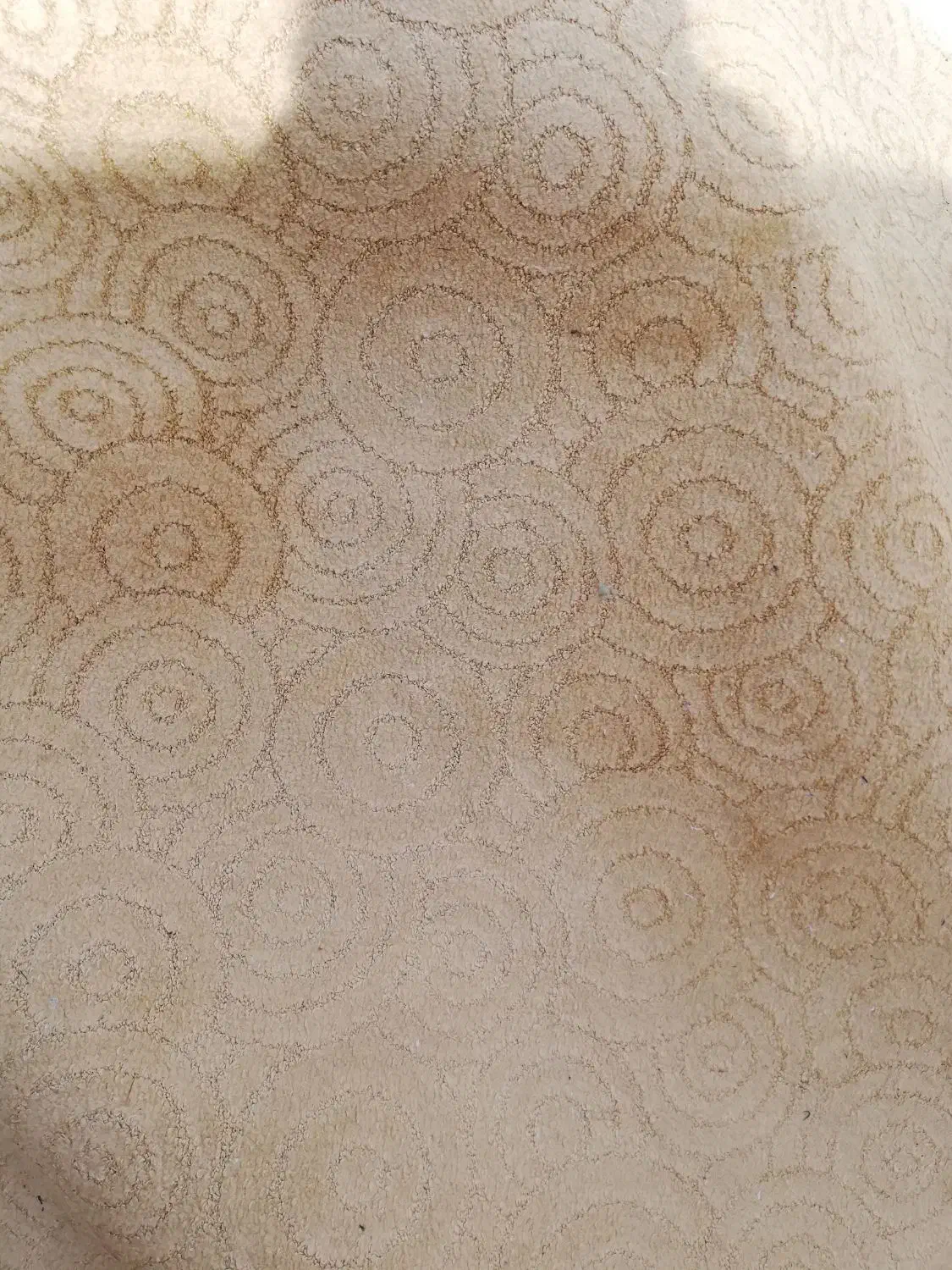 موکت|موکت|مشهد, کارمندان دوم|دیوار