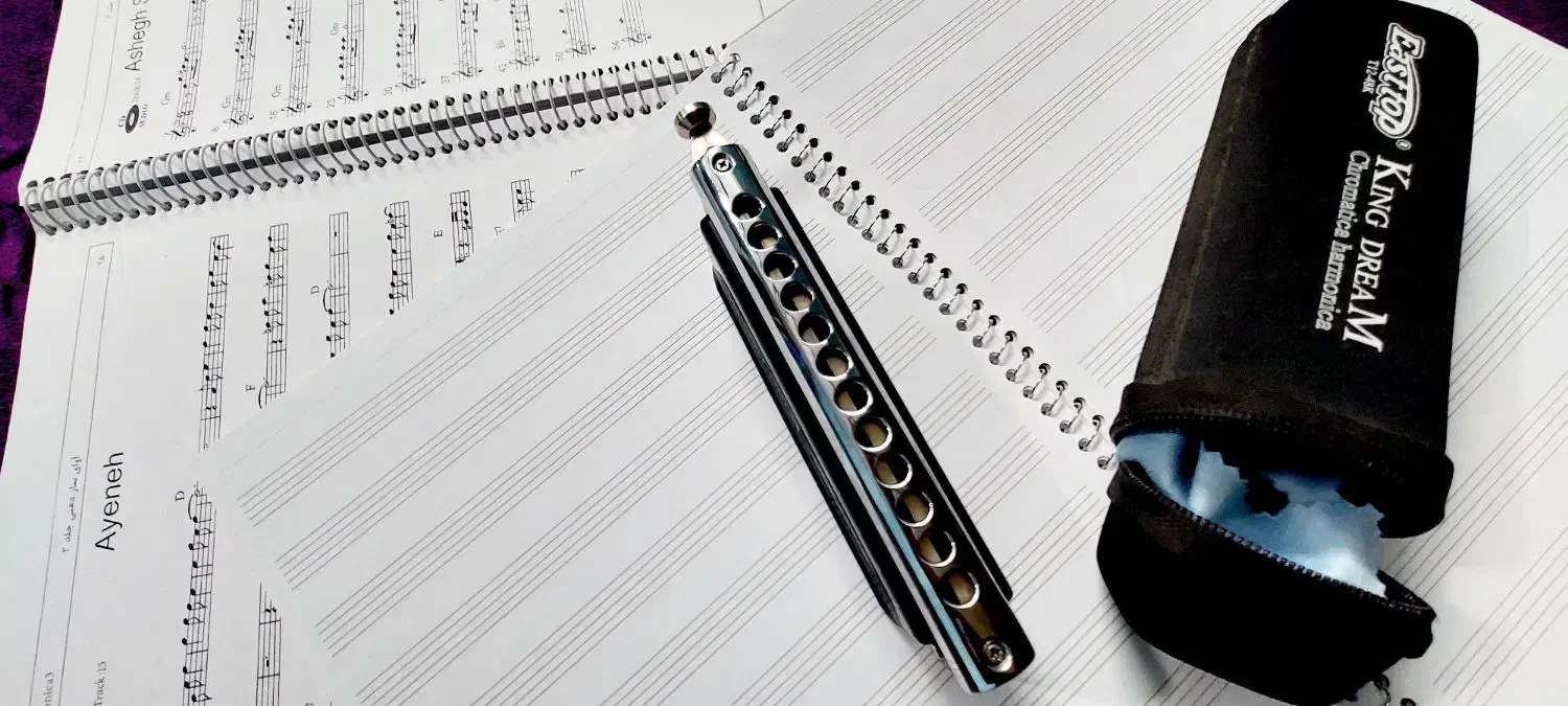 سازدهنی کروماتیک ایستاپ مدل کینگ دریم King Dream|سازهای بادی|بجنورد, |دیوار