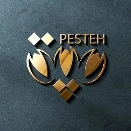 طراحی لوگو حرفه ای فقط ۶۰۰هزار تومان|خدمات رایانه‌ای و موبایل|تبریز, |دیوار