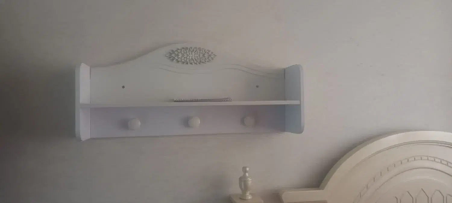 شلف چوبی برند ساحل چوب|کتابخانه، شلف، قفسه‌های دیواری|تهران, افسریه جنوبی|دیوار