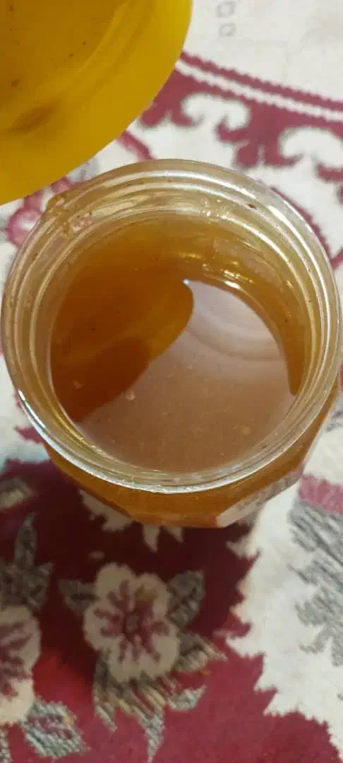 عسل کنار خالص یک تن ۳۹۰|خوردنی و آشامیدنی|شیراز, زیباشهر|دیوار