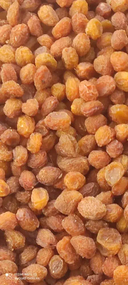 رب آلووآلوبخارا گردو بادام مویز|خوردنی و آشامیدنی|شیراز, نصر|دیوار