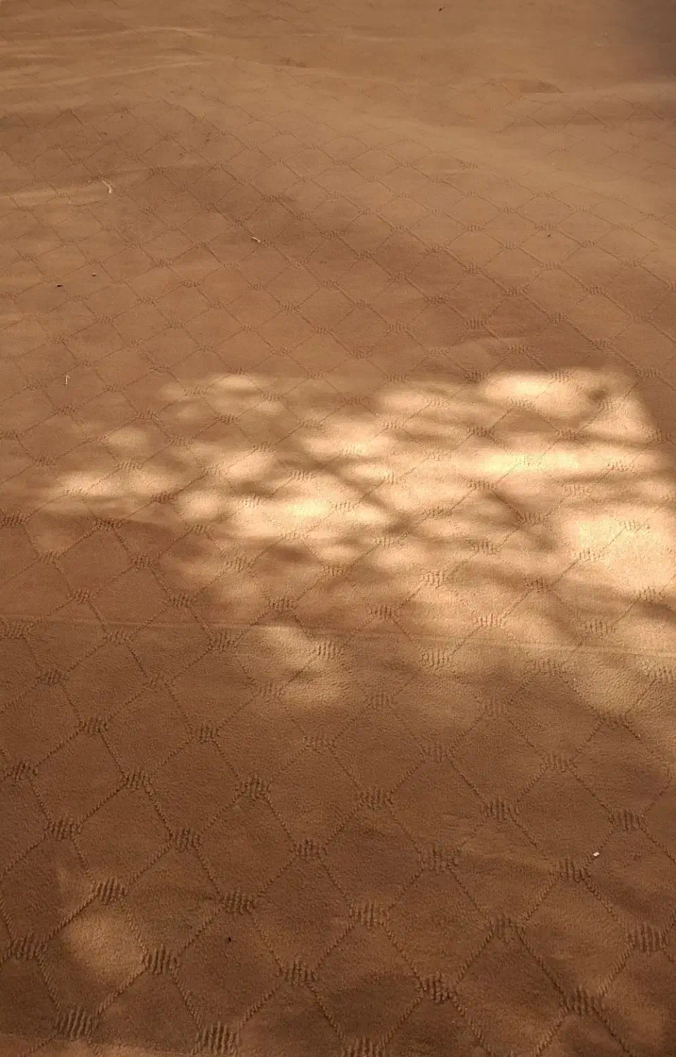 موکت دو عدد تمیز|موکت|قم, انسجام|دیوار