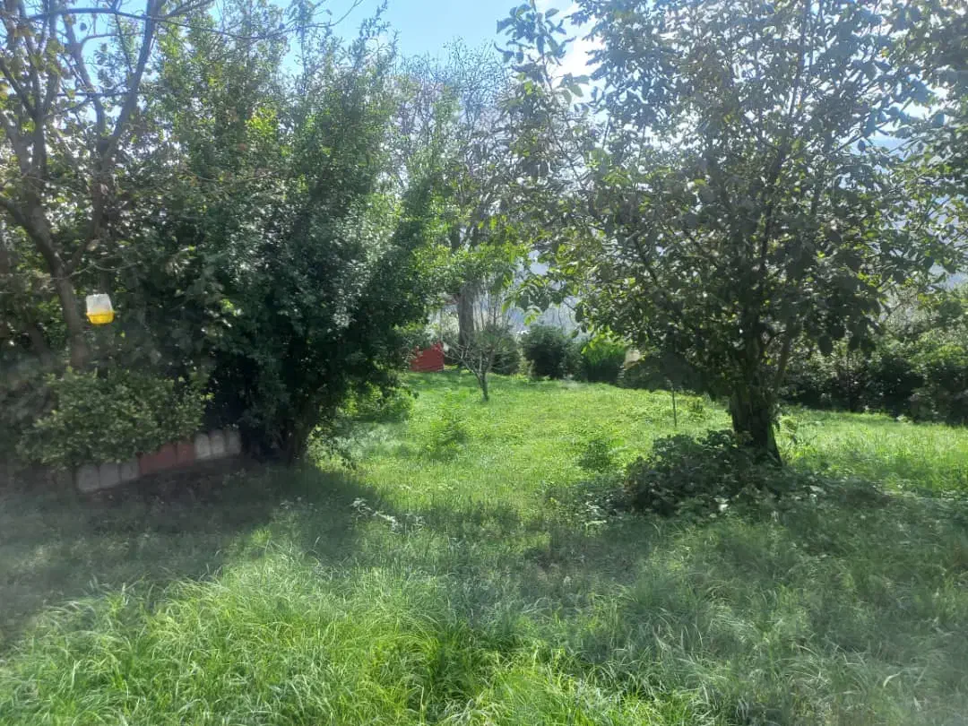 فروش  باغ ویلای   ۲۲۲۰ متری|فروش خانه و ویلا|پایین هولار, |دیوار