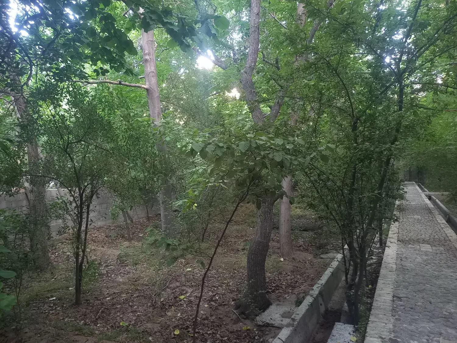 اجاره کوتاه مدت باغ ویلا مهریز|اجارهٔ کوتاهمدت ویلا و باغ|یزد, |دیوار