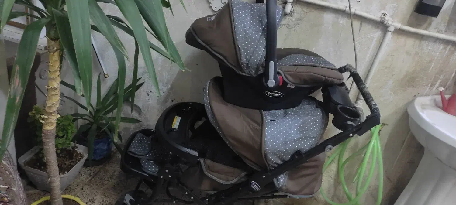 کالسکه و کریر دلیجان|کالسکه و لوازم جانبی|تهران, تختی|دیوار