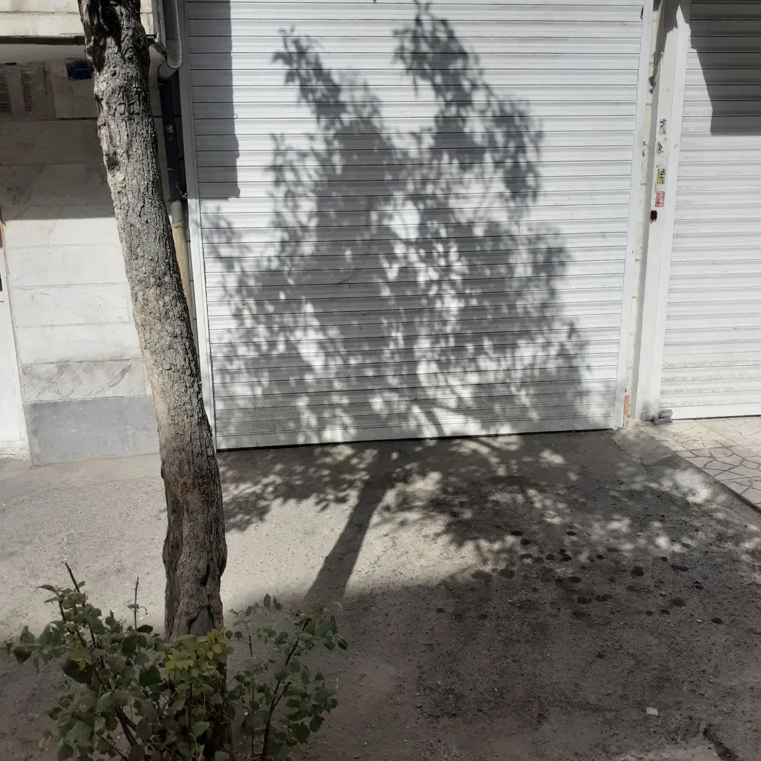 اجاره مغازه‌|اجارهٔ مغازه و غرفه|تهران, جوادیه تهرانپارس|دیوار