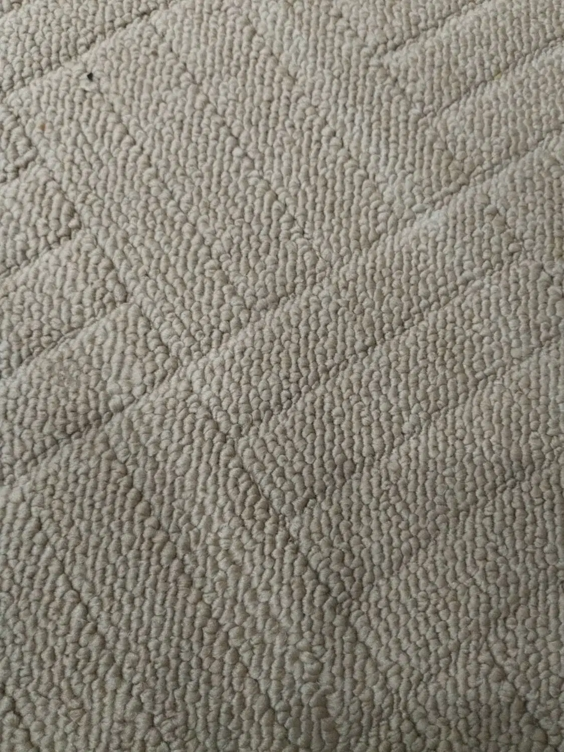 موکت|موکت|دلوار, |دیوار