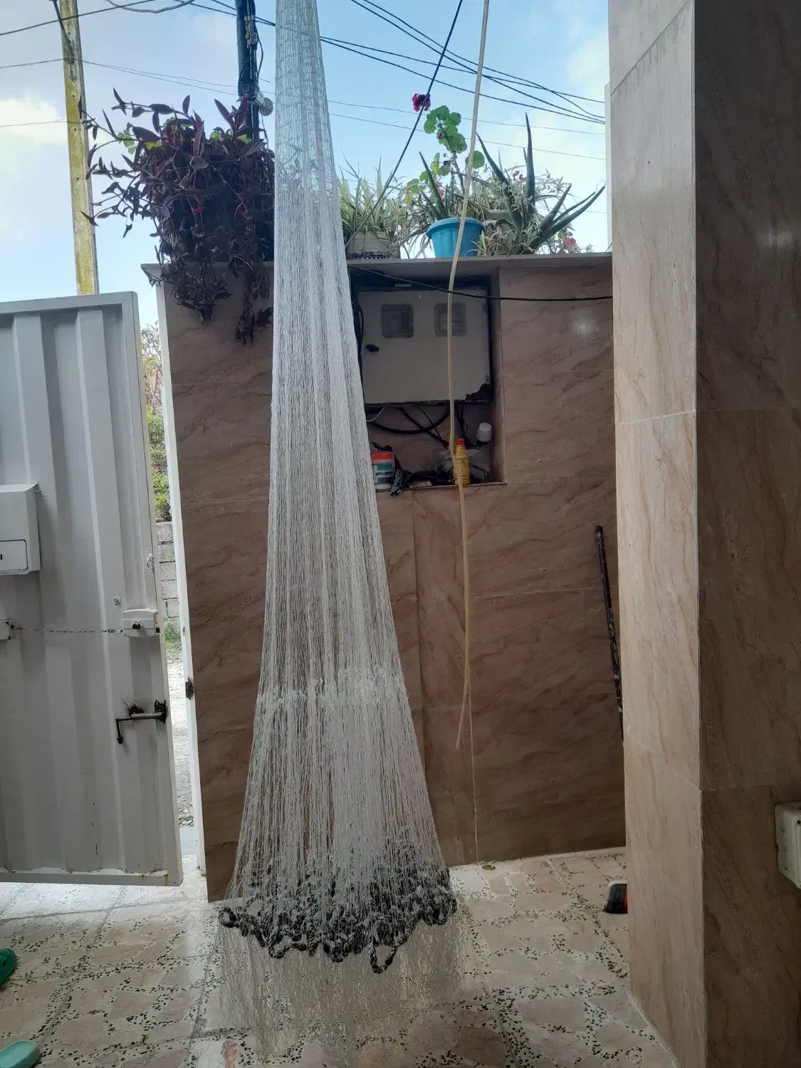 سالی یاتور ماهی گیری|ماهیگیری|چالوس, |دیوار