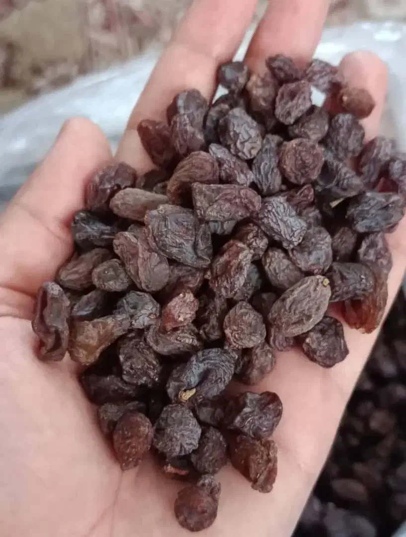 کشمش آفتابی تاکستان|خوردنی و آشامیدنی|تهران, مرزداران|دیوار