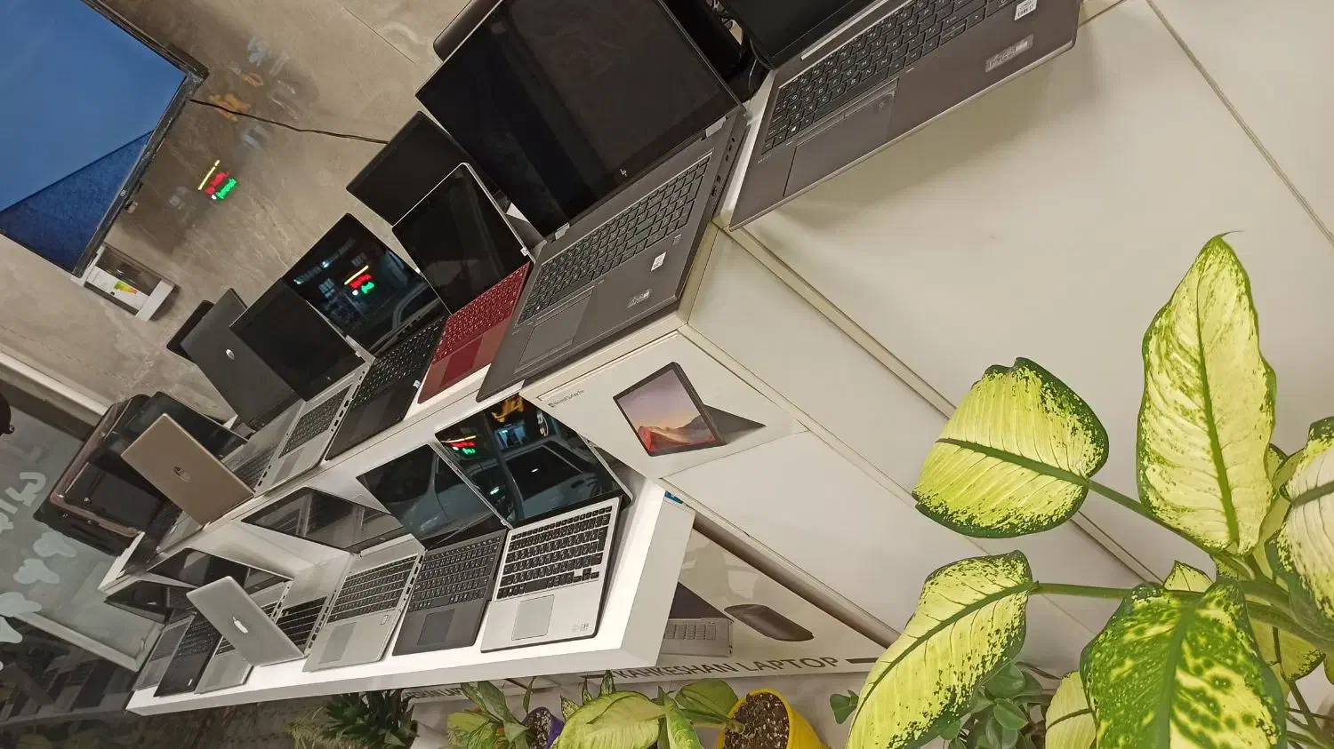 نمایندگی اصلی/Hp/Asus/Lenovo قسطی12مـاهه بـدون سود|رایانه همراه|گرگان, |دیوار