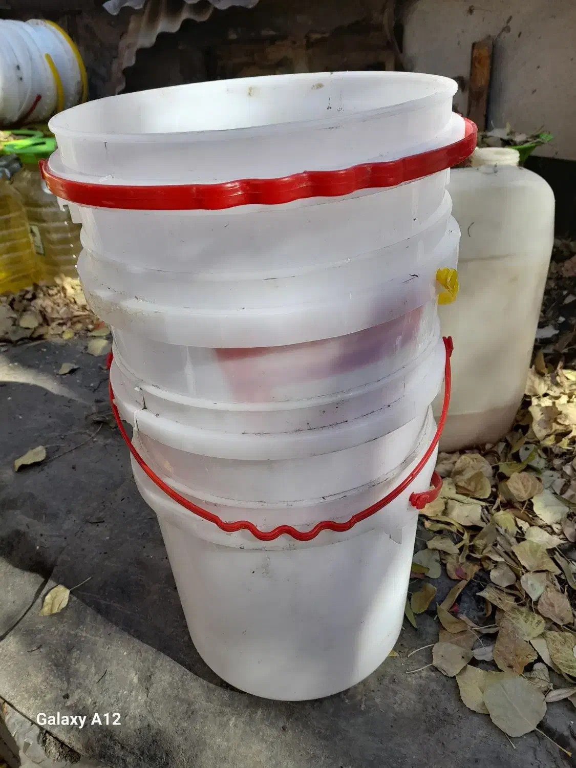 ۴۰۰ عددسطل در دار|ظروف نگهدارنده، پلاستیکی، یک‌بارمصرف|آبعلی, |دیوار